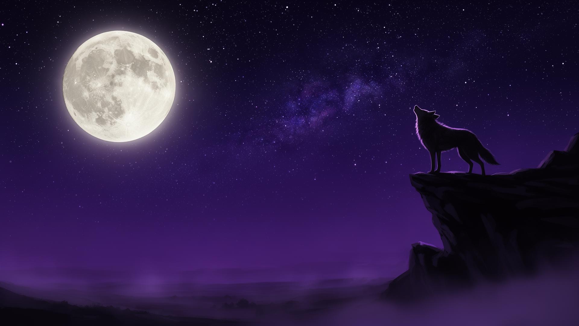 Starry night with a wolf on a cliff under a full moon